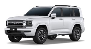 HAVAL H9
